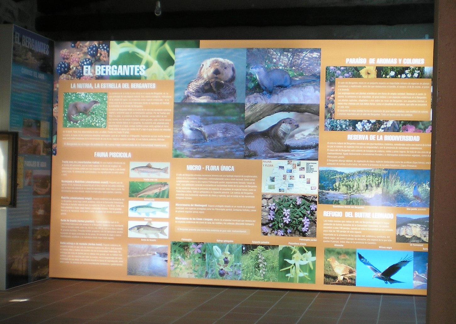 lonas retroiluminadas